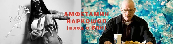 индика Корсаков
