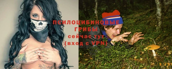 индика Корсаков