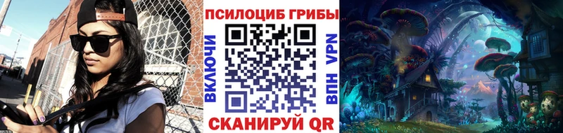 Псилоцибиновые грибы прущие грибы  Купить где  Когалым 